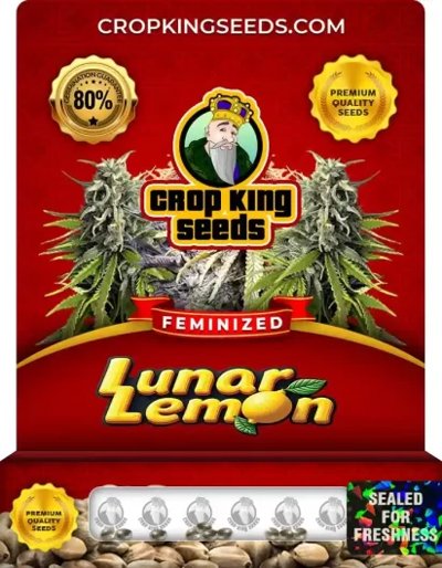 Lunar Lemon
