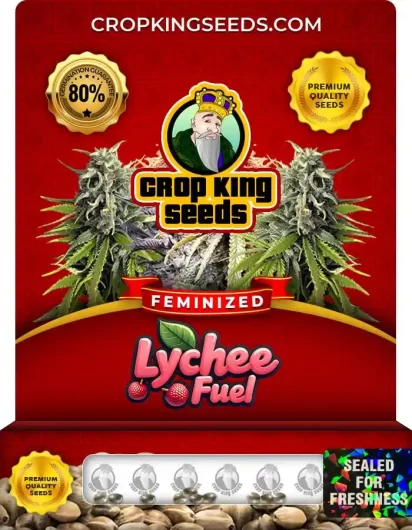 lychee-fuel-image
