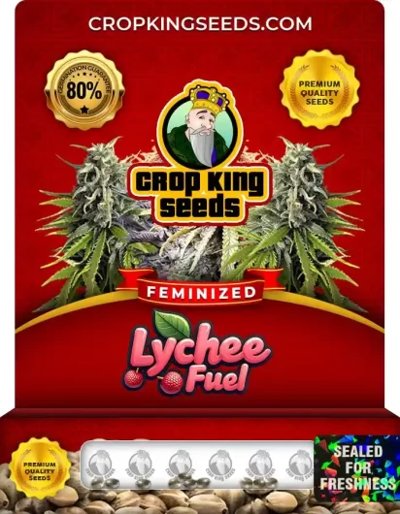 Lychee Fuel