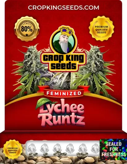 lychee-runtz-image