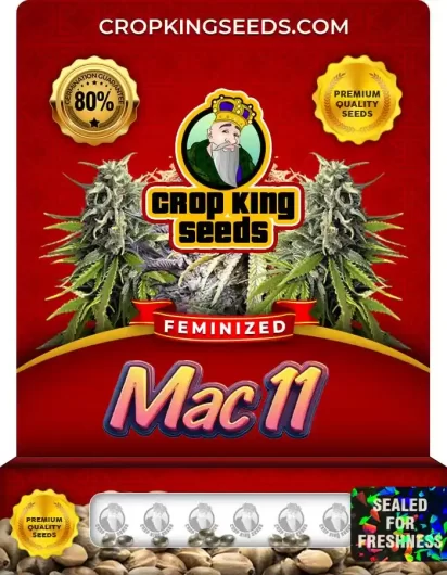 mac-11-image