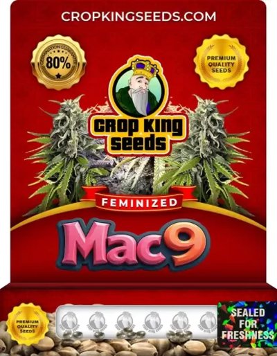 Mac 9