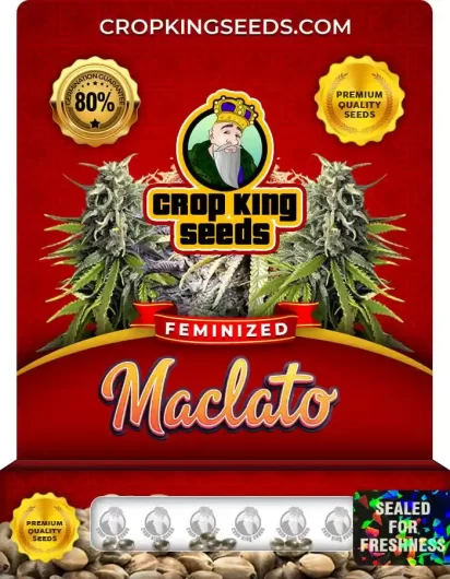 maclato-image