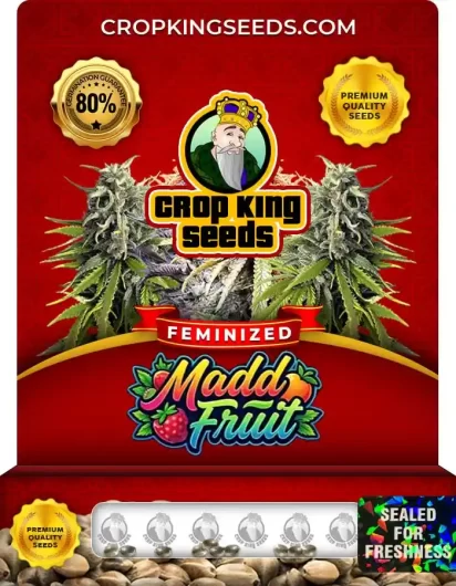 madd-fruit-image