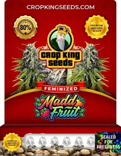 Madd Fruit