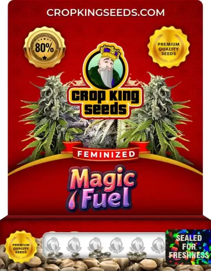 magic-fuel-image