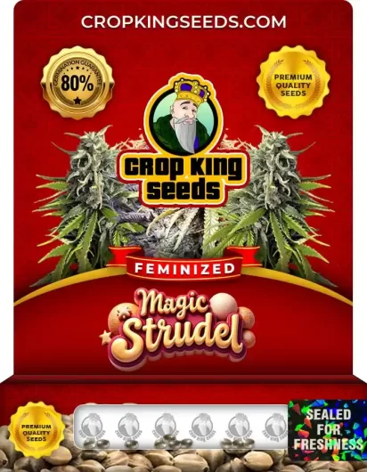 magic-strudel-image