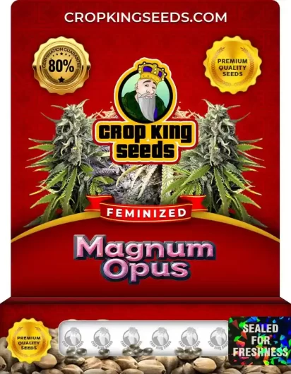 magnum-opus-image