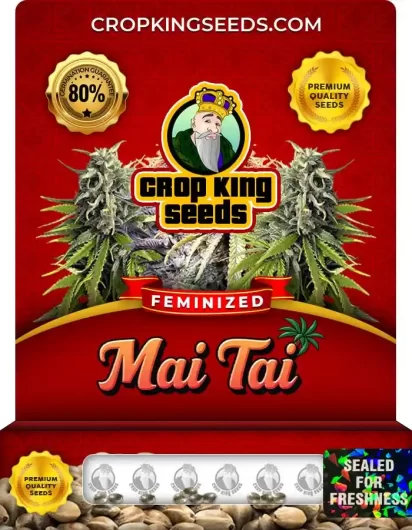 mai-tai-image