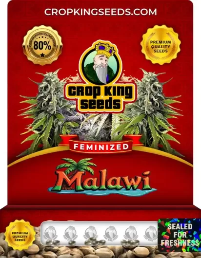 malawi-image