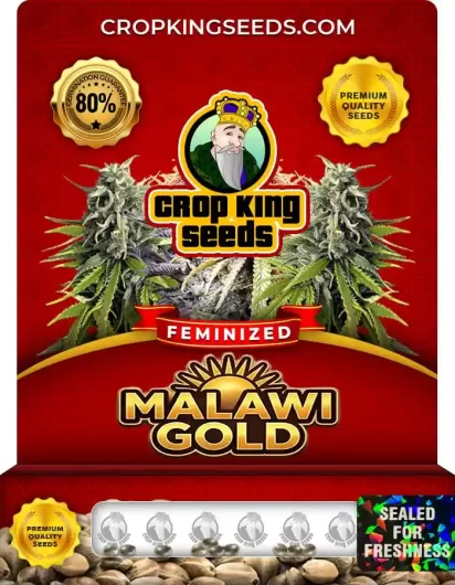 malawi-gold-image