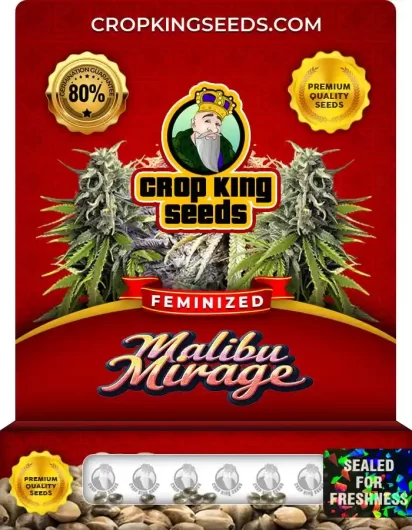 malibu-mirage-image