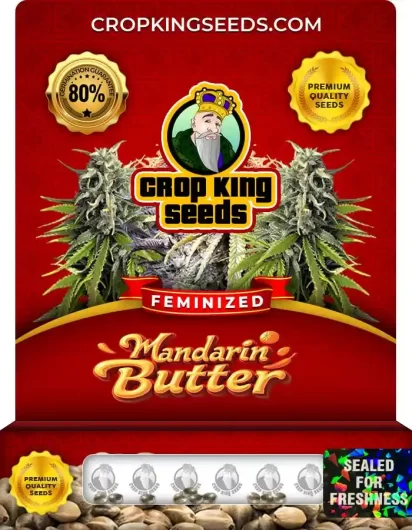 mandarin-butter-image