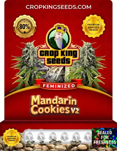 mandarin-cookies-v2-image
