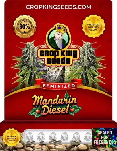 mandarin-diesel-image