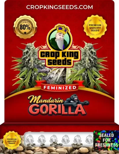 mandarin-gorilla-image