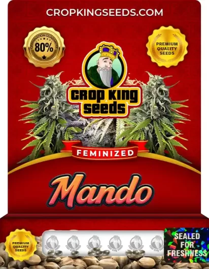 mando-image