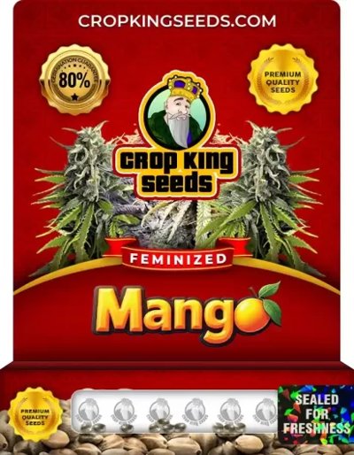 Mango