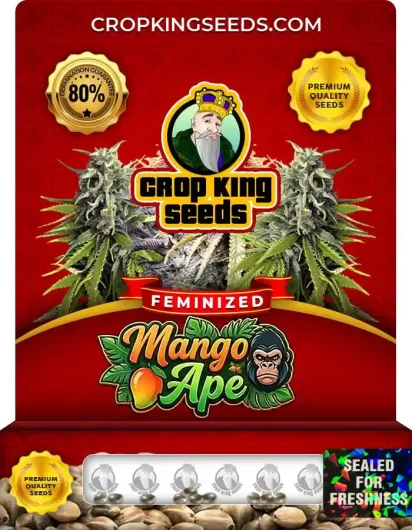 mango-ape-image
