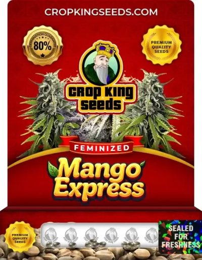 Mango Express