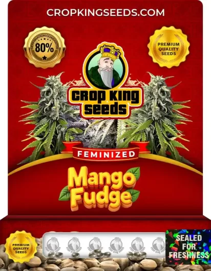 mango-fudge-image