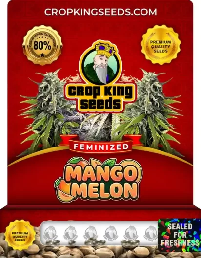 mango-melon-image