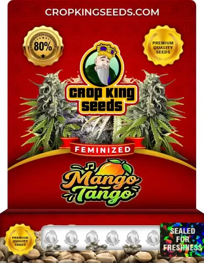 mango-tango-image
