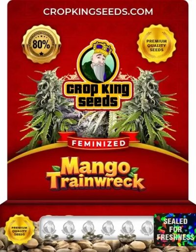 Mango Trainwreck