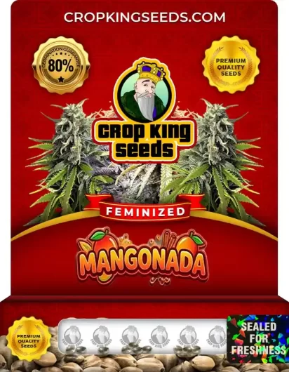 mangonada-image