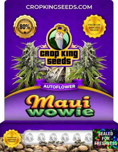maui-wowie-autoflower-image