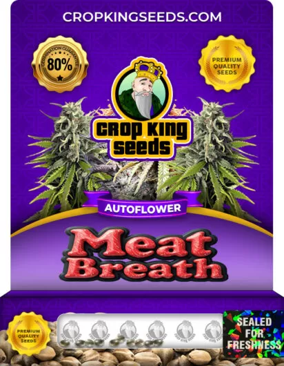 meat-breath-autoflower-image