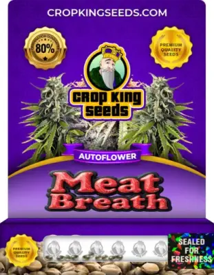 Meat Breath Autoflower