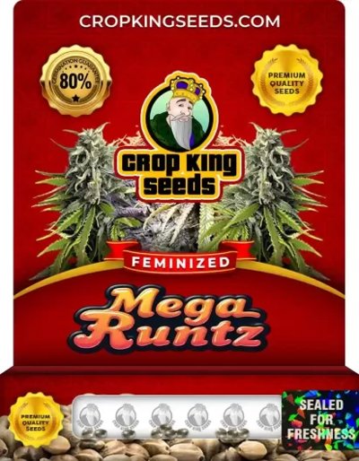 Mega Runtz
