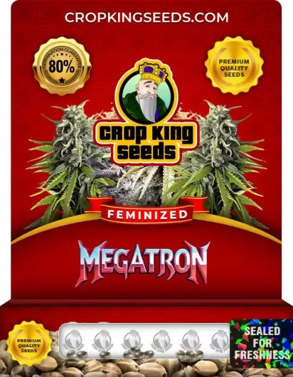 megatron-image