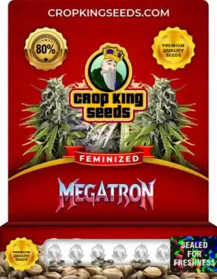 Megatron