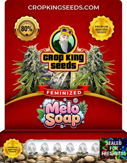 melo-soap-image
