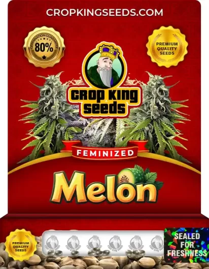 melon-image