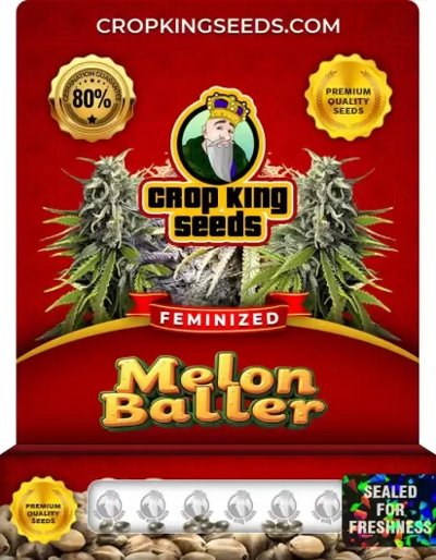 Melon Baller