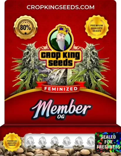 member-og-image