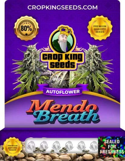 mendo-breath-autoflower-image