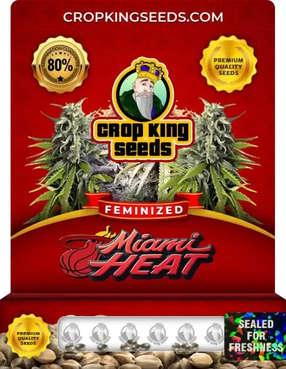 miami-heat-image