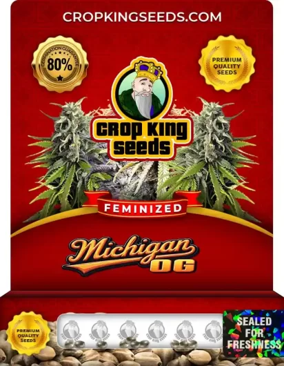 michigan-og-image