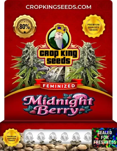 midnight-berry-image