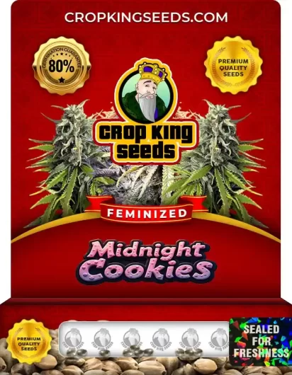 midnight-cookies-image
