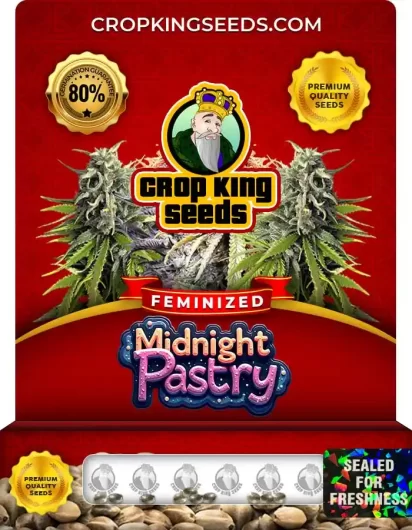 midnight-pastry-image