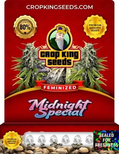 Midnight Special