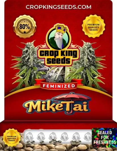 mike-tai-image