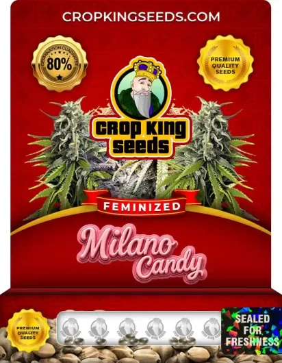 milano-candy-image