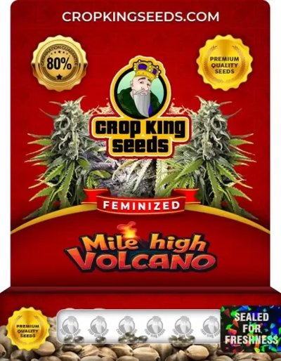 Mile High Volcano