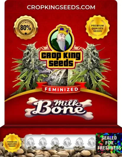 milk-bone-image